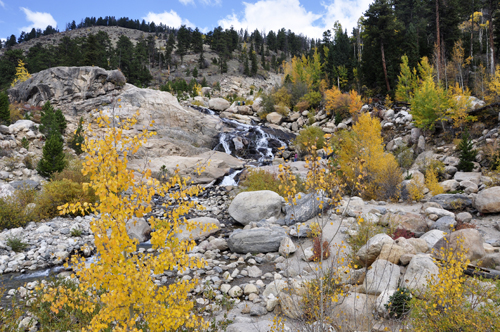 waterfall and fall foliage at Rocky Mountain National Park