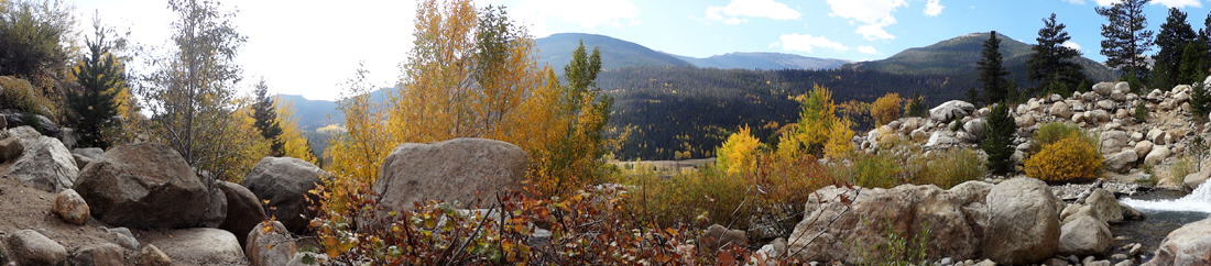 fall foliage at Rocky Mountain National Park