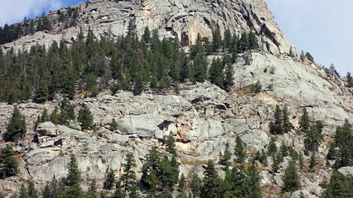mountain and fall foliage