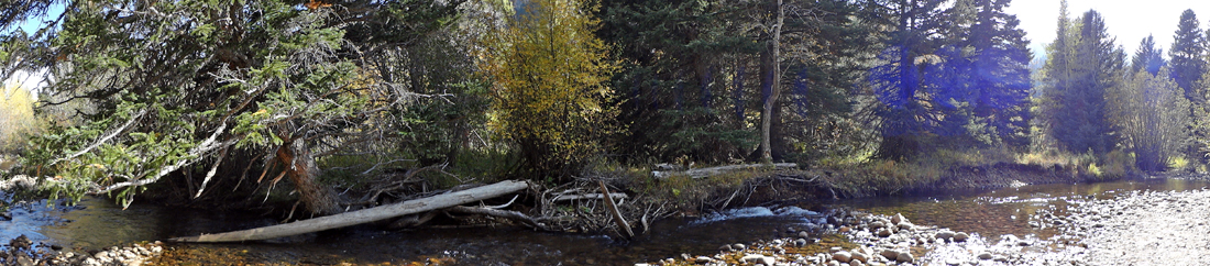 panorama of the creek