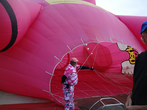 pink elephant hot air balloon