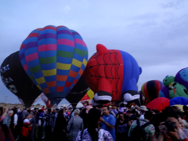 hot air balloons and many people