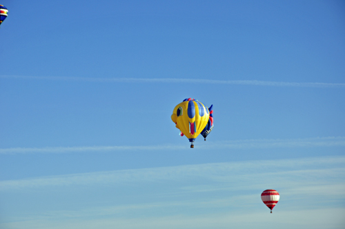 Gus T. Guppie hot air balloon