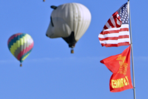 Party Panda and other hot air balloons