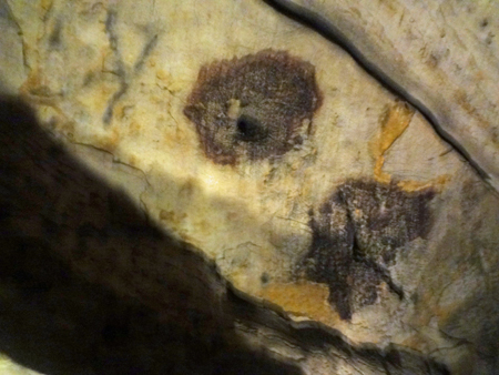 Bat stains on the ceiling of the Mark Twain Cave