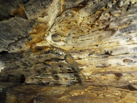 within the Mark Twain Cave