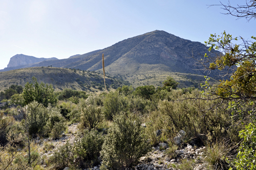 the trailhead at McKittrick Canyon