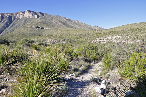 the trailhead at McKittrick Canyon