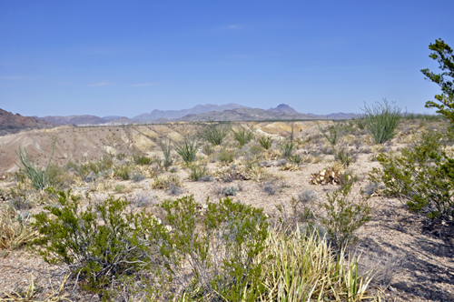 painted hills in Big Bend National Park