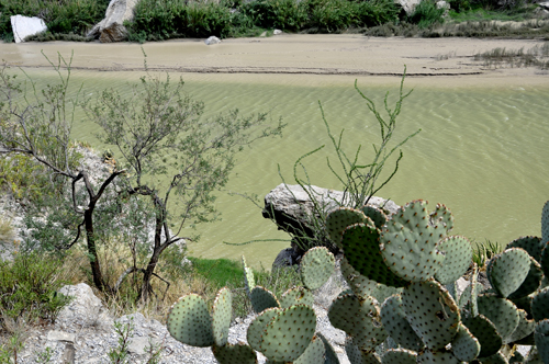 cactus and the Rio Grande