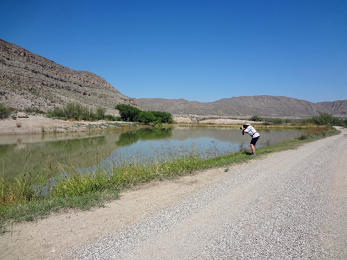 Karen Duquette photographing ducks at Big Bend National Park