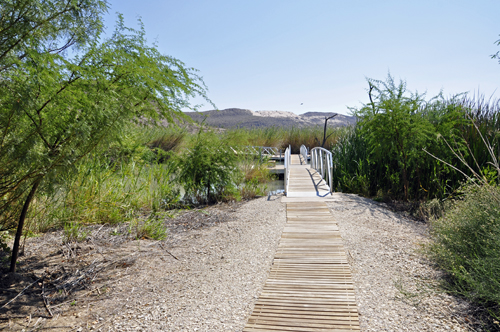 Rio Grande Village Nature Trail boardwalk