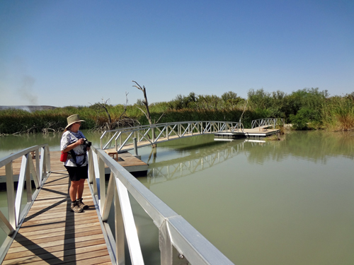 Karen Duquette on the Rio Grande Village Nature Trail boardwalk