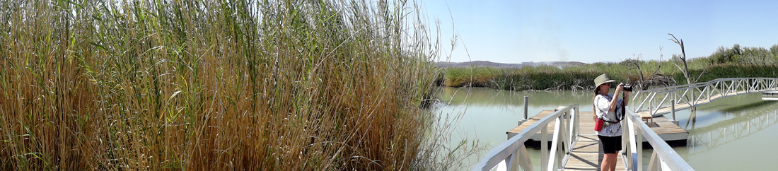 Karen Duquette on the Rio Grande Village Nature Trail boardwalk