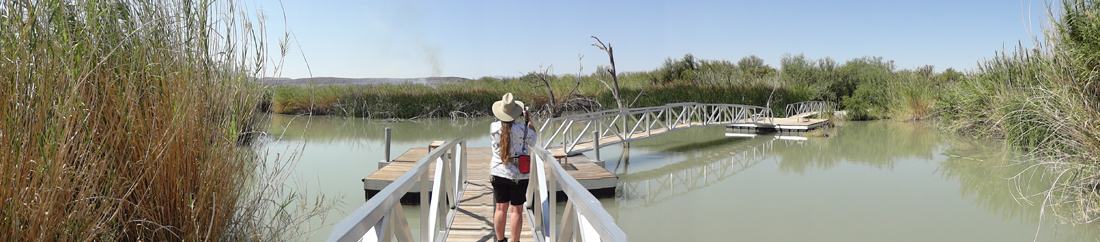 Karen Duquette on the Rio Grande Village Nature Trail boardwalk