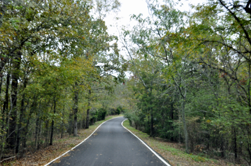 road through Hot Springs National Park