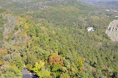 fall colors as seen from the Hot Springs Mountain Tower