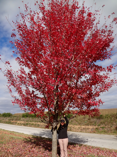 Karen Duquette under a tree with bright red leaves