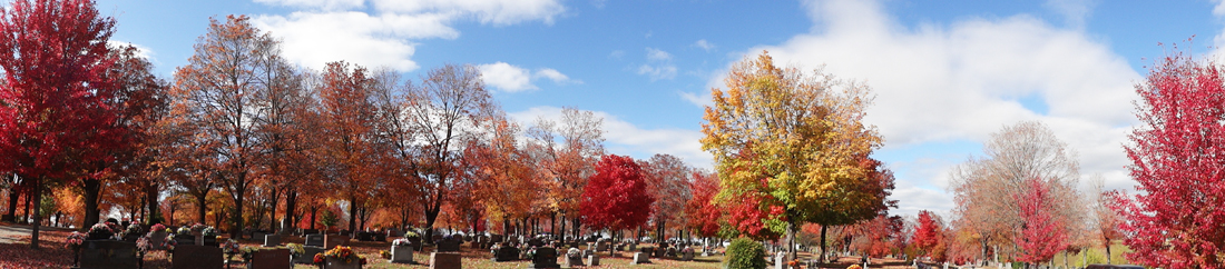 panorama of fall colors