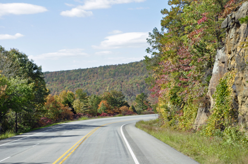 fall foliage, fall colors