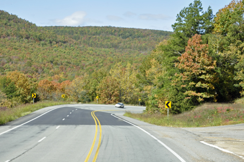 fall foliage, fall colors