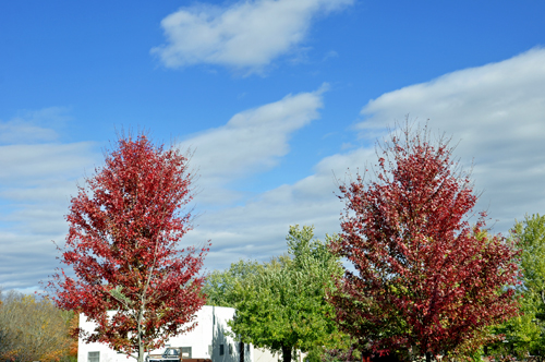 fall foliage, fall colors