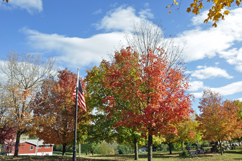 fall foliage, fall colors