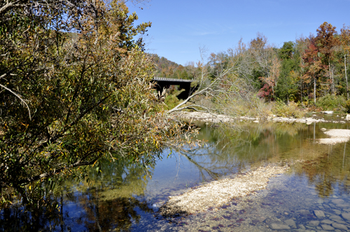 beautiful fall foliage by the Buffalo River