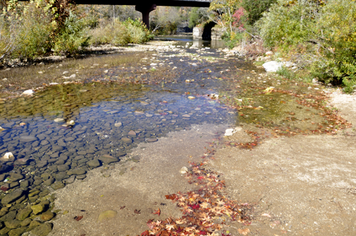 cool, clear, clean water in the Buffalo River