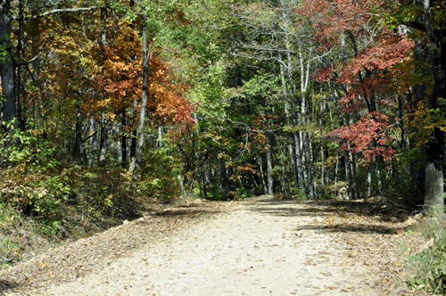 narrow dirt road to Twim Falls, with beautiful fall colors