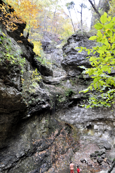 people are below the waterfall