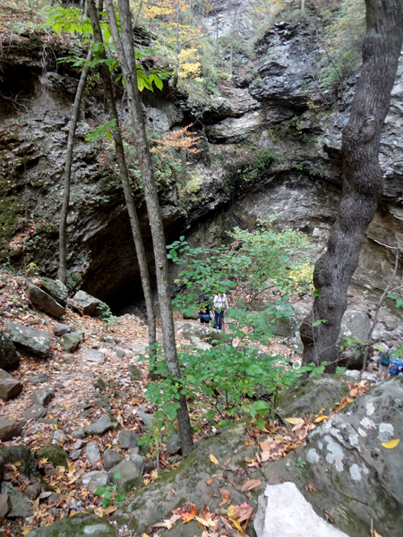 people are below the waterfall