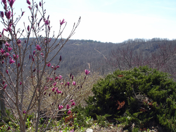 scenic overlook