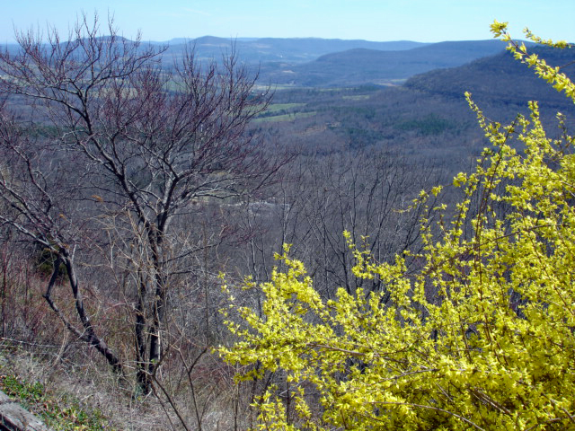 view from the tower 2006