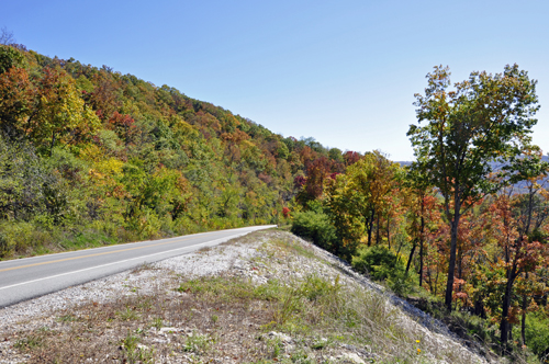 fall foliage on the mountains