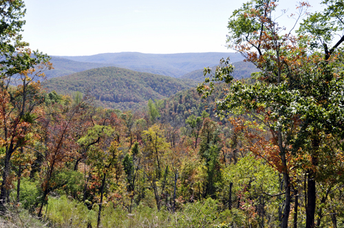 fall foliage on the mountains