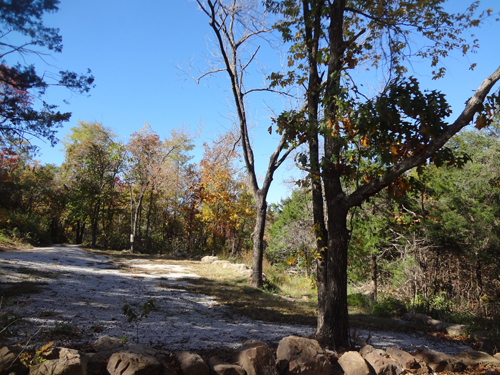 the dirt road and fall foliage