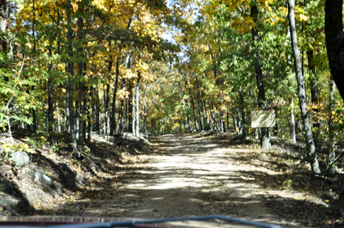 the dirt road and fall foliage