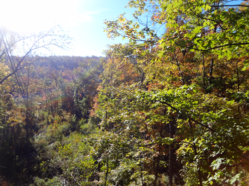 view from that zipline station