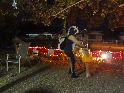 Thomas dancing with the skunk