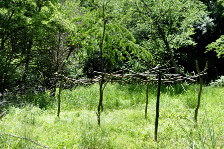 where they hung the corn to dry