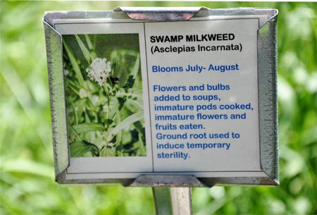 swamp mikweed sign