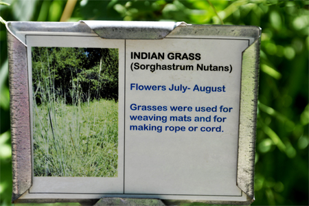 Indian Grass sign