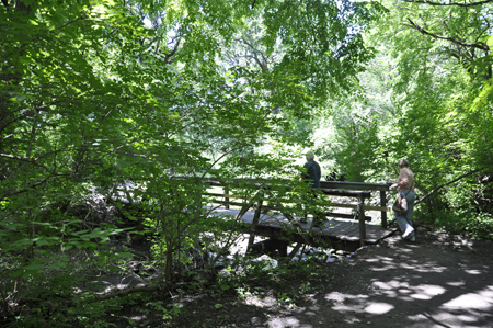 Lee Duquette on a small bridge