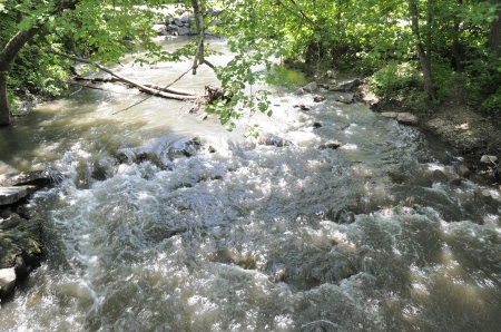 the Redwood River leading to Ramsey Falls