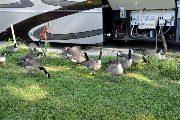 Canadian Honkeers around the RV of the two RV Gypsies in Beatrice NE