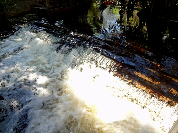 the dam at Riverbend Park