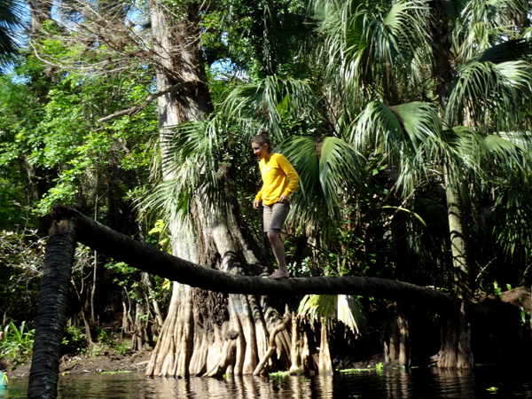 a girl balancing on a tree over the River