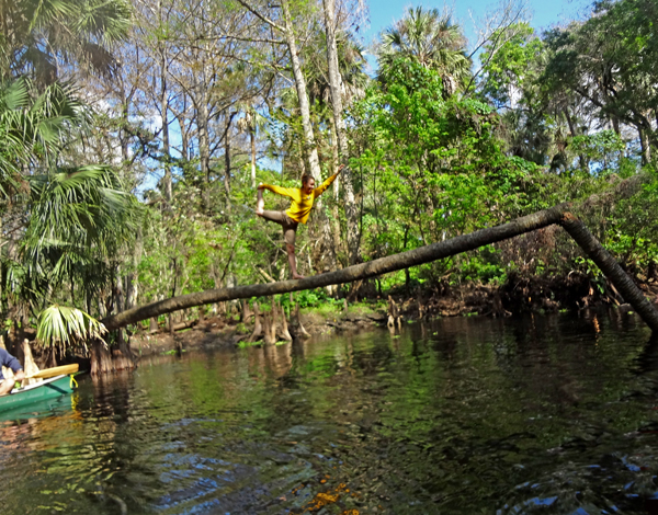 a girl balancing on a tree over the River