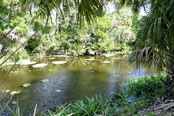 Loxachatchee River